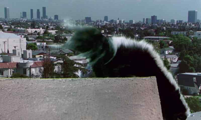 DUSTER !