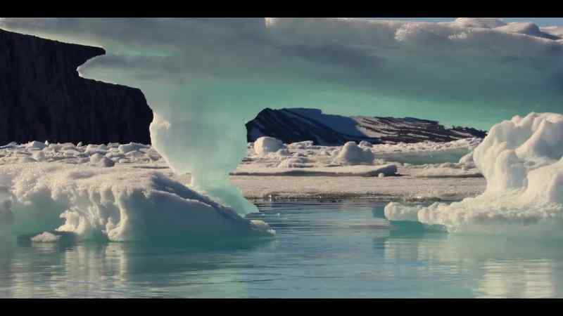 Dwindling sea ice might be tough on ice specialists