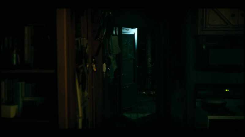 Dylan: Maybe they're playing hide and seek?
