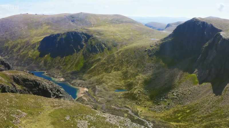 Each additional tree helps this remote glen