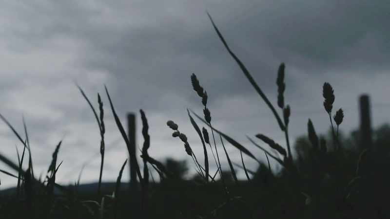 Each are beyond the scope of normal scientific understanding