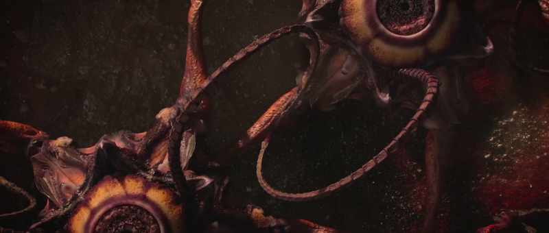 Each can produce offspring