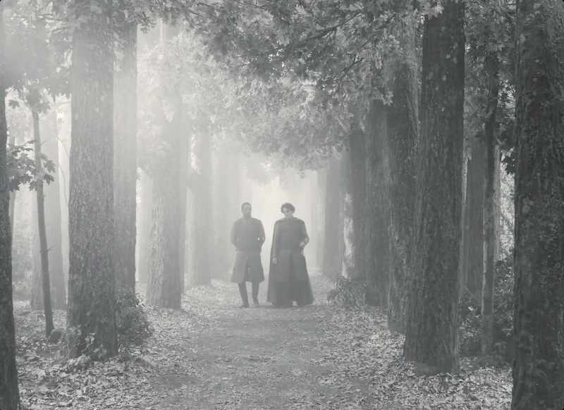 Each new morn new widows howl