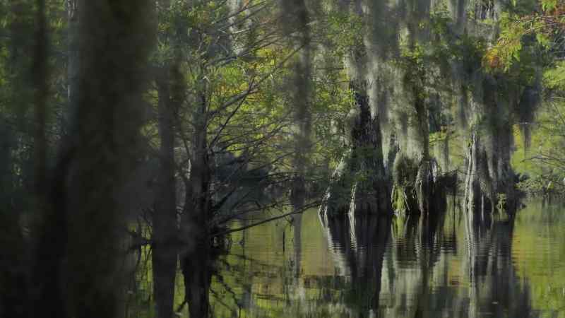 Each of them is surrounded by slow-moving waters