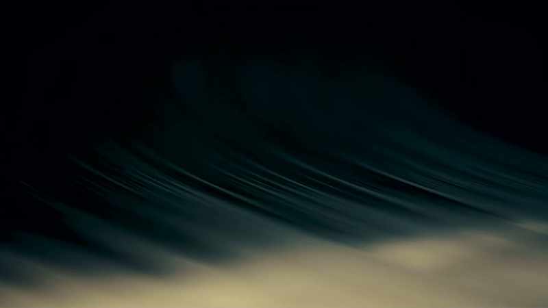 Each of those grooves on the record