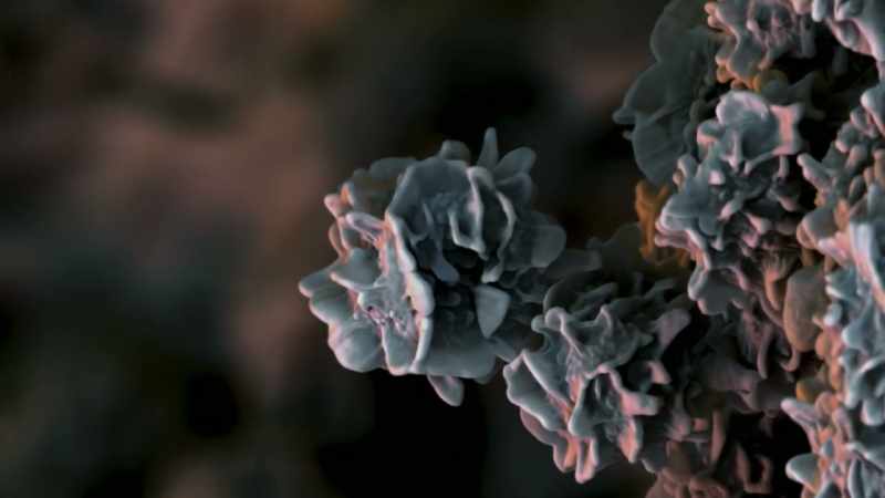 Each spore like this