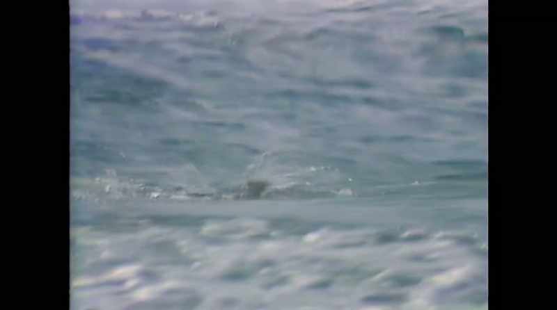 � Each week, Dr. Roy Walford swims two miles