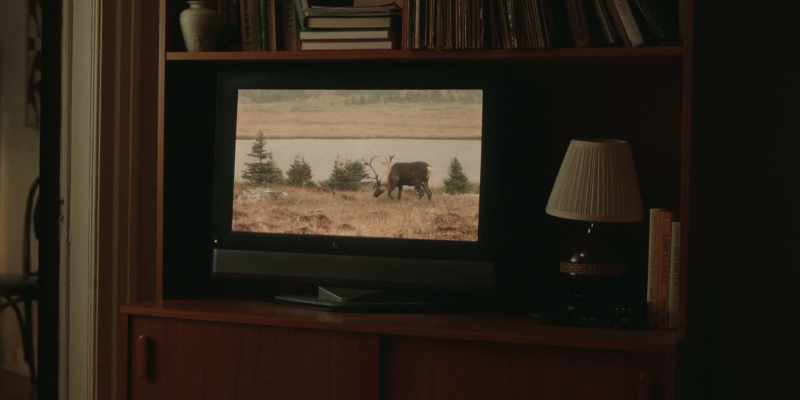 Each year, caribou undertake a long and perilous journey