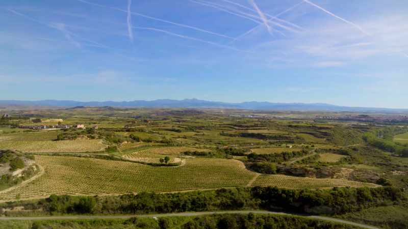 Each year, its many vineyards