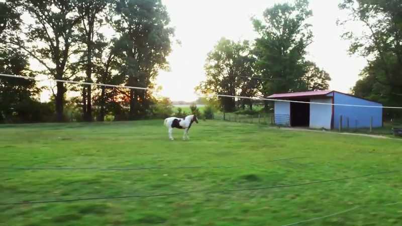 EADS IS A SMALL COMMUNITY 30 MINUTES FROM MEMPHIS