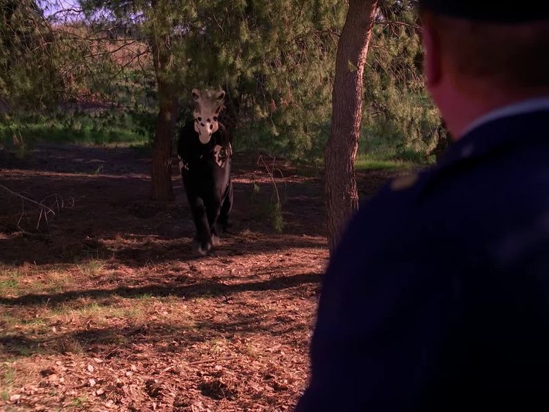 EARLE [SINGING]: Home, home on the range