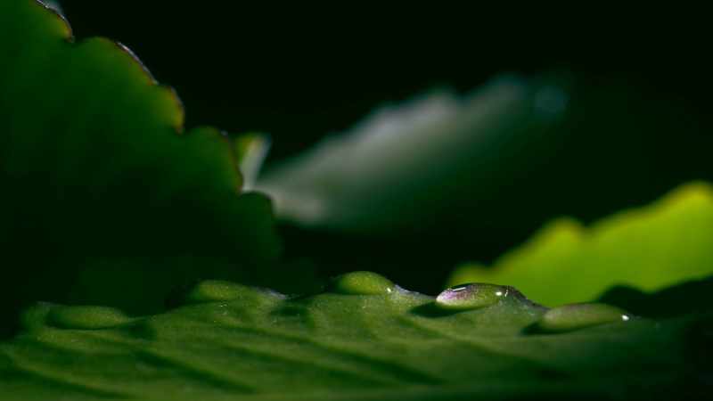 Earth could have easily wound up somewhere where every drop