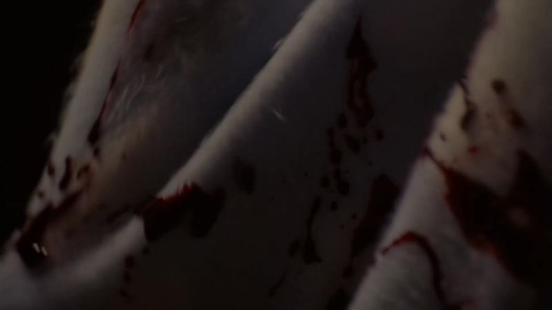 EARTHQUAKE, FIRE, BLOOD