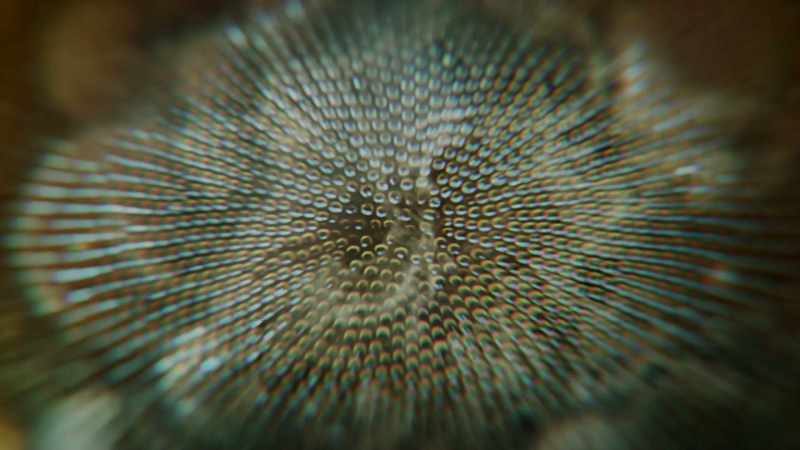 Earth's water, it's a shape shifter