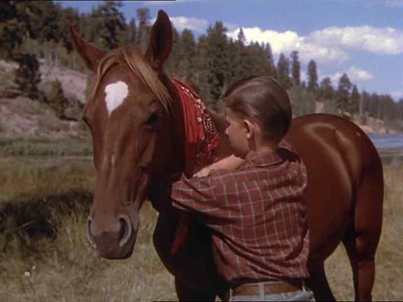 Easy, Flicka. Easy