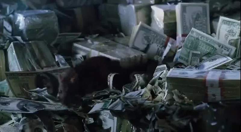 Eating my fucking money
