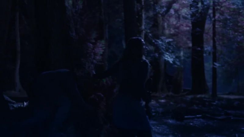 ECHO? ECHO, WHAT ARE YOU DOING?