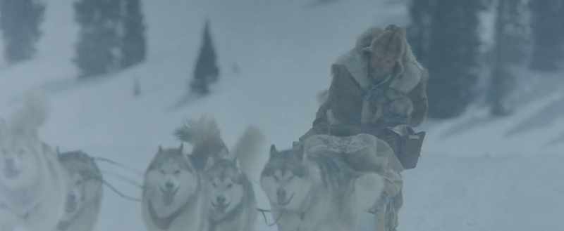 [echoing barks]