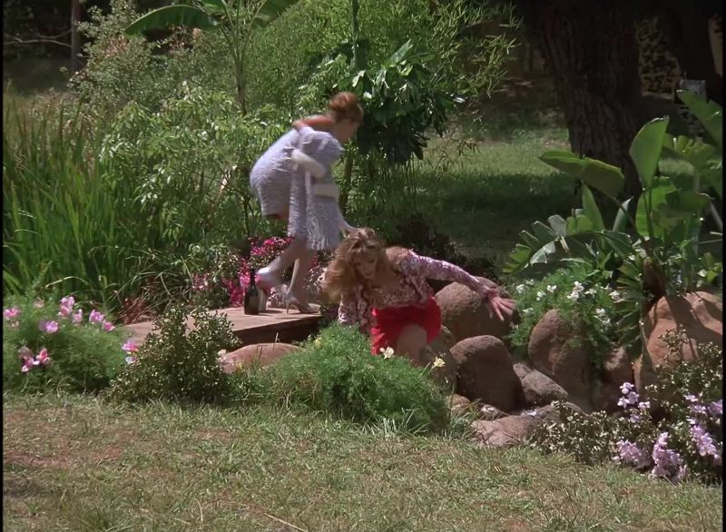 Edie, get out of there!