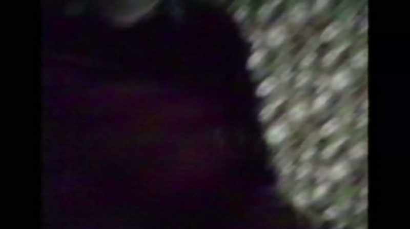 Edison Carter vom Sender 23, M-M-M-Max Headroom