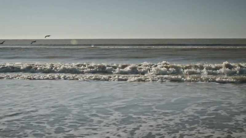 Ednika: Because of climate change