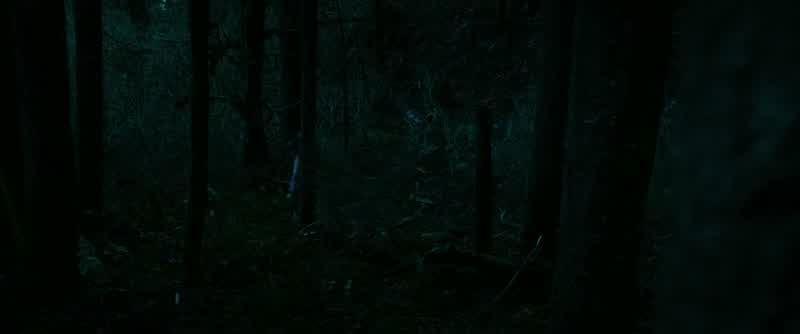 Edward, I said leave me alone
