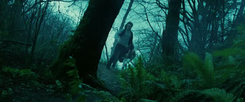 EDWARD: Rosalie, mark the tree