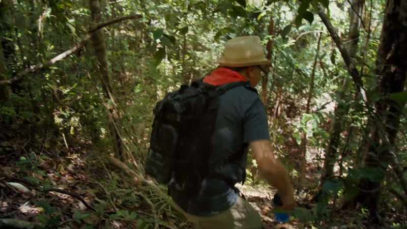 Edwin returns from the fortified ridge