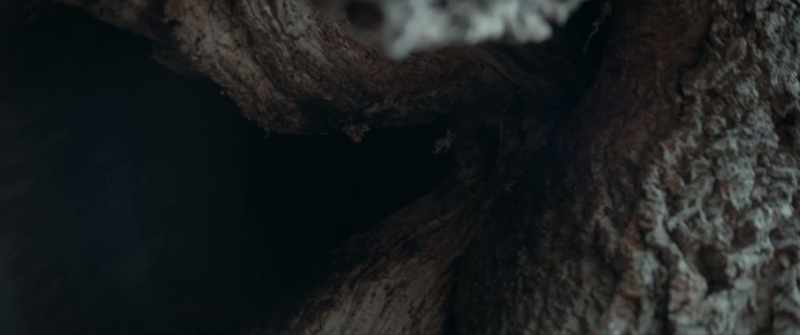 [eerie music continues]