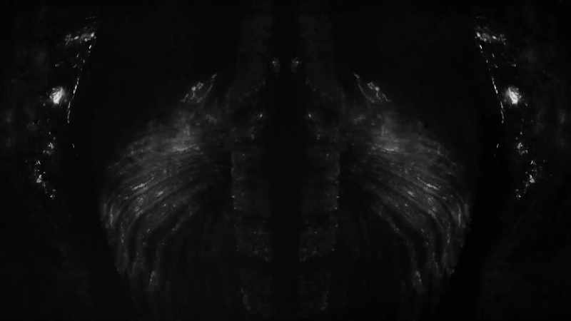 (eerie music continues)