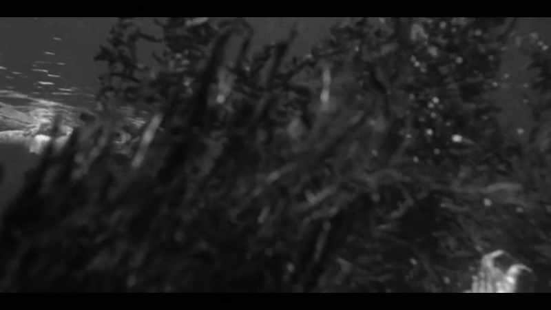 �� (EERIE MUSIC PLAYING) ♪