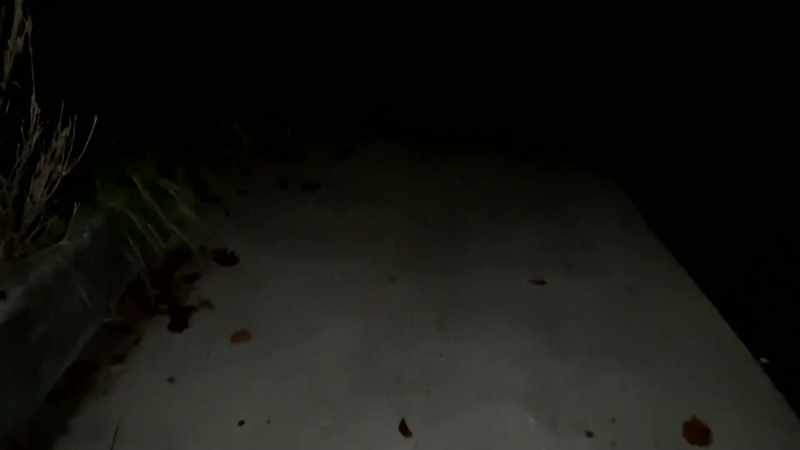 [eerie music]