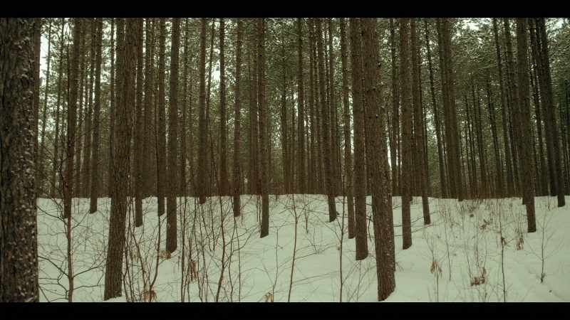 [Eerie Music]