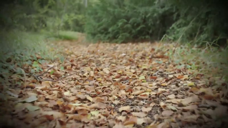 Eight minutes after she appeared in the footage