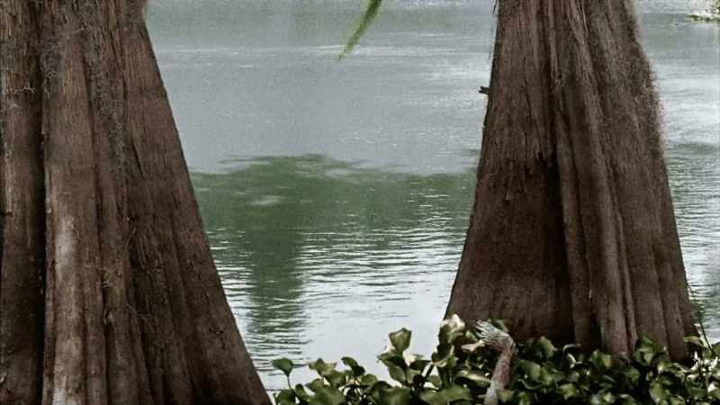 EIGHT MONTHS OF EXTREME RAINFALL