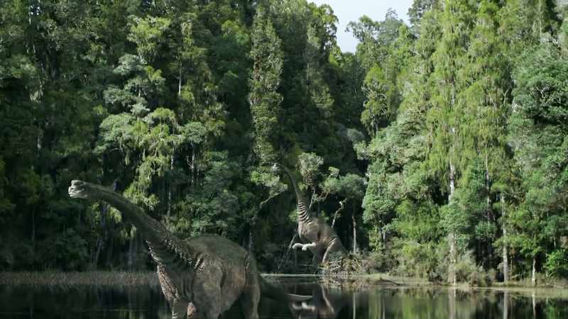 Eighty million years ago