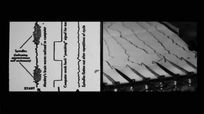 Electrical stimulation of one cerebral structure