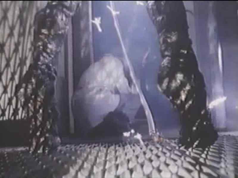 (electricity crackles) (Donald grunting)