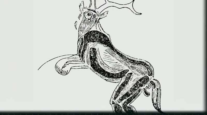 Electricity derived from animals