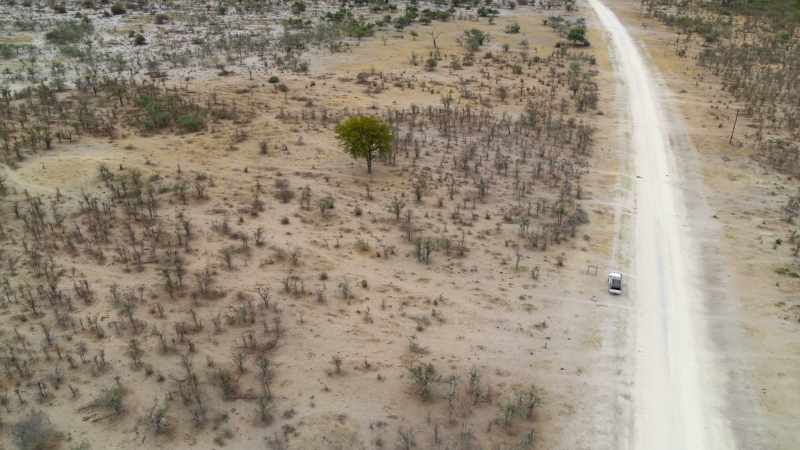 Elephant corridors are lifelines