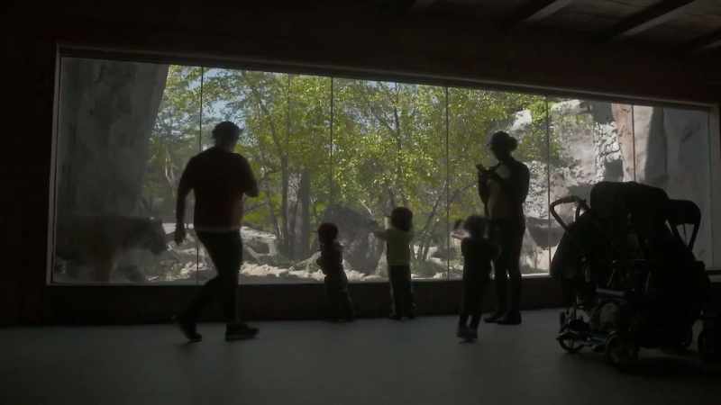 (elephant trumpets)