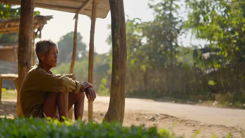 Elephants also search for food in villages