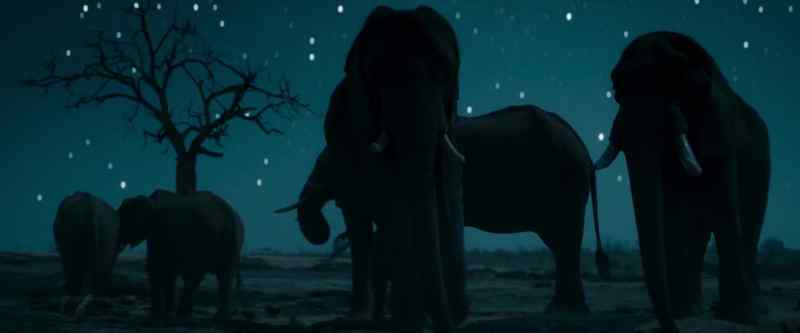 Elephants form deep emotional bonds