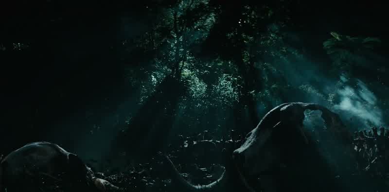 Elephants
