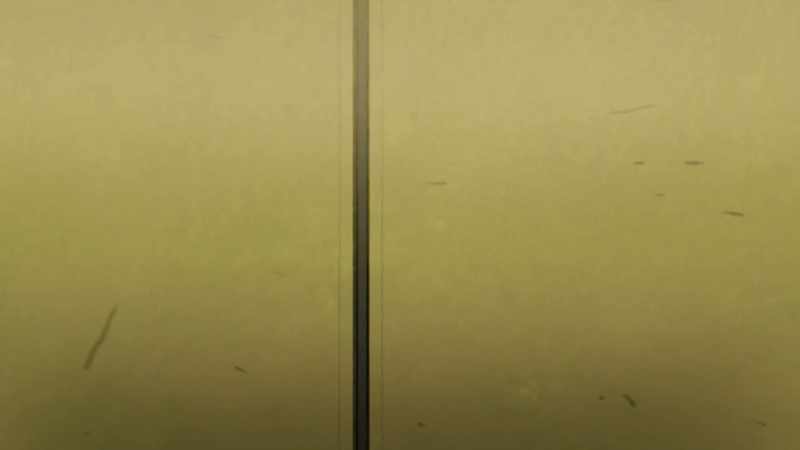 [elevator dings]