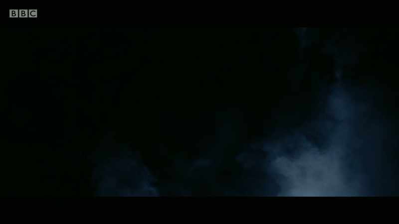 Elisabetha returns and all turn to vampires