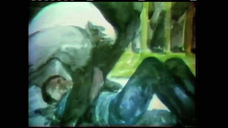 [Elizabeth] And they beat the three cops