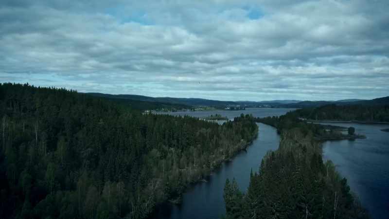ELLA: An ordinary Norwegian hillside