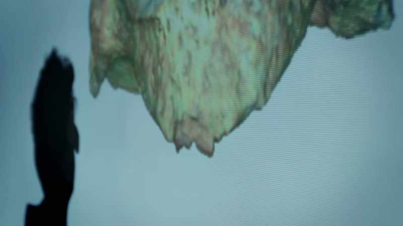 ELLA: Forensic data reveals specific damage