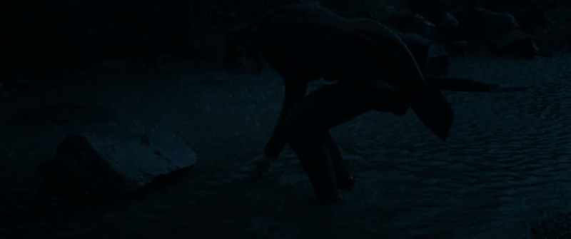 Elora must reach